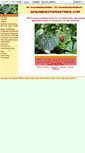 Mobile Screenshot of gesundheitspraktiker.com
